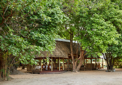 Central Boma Area
